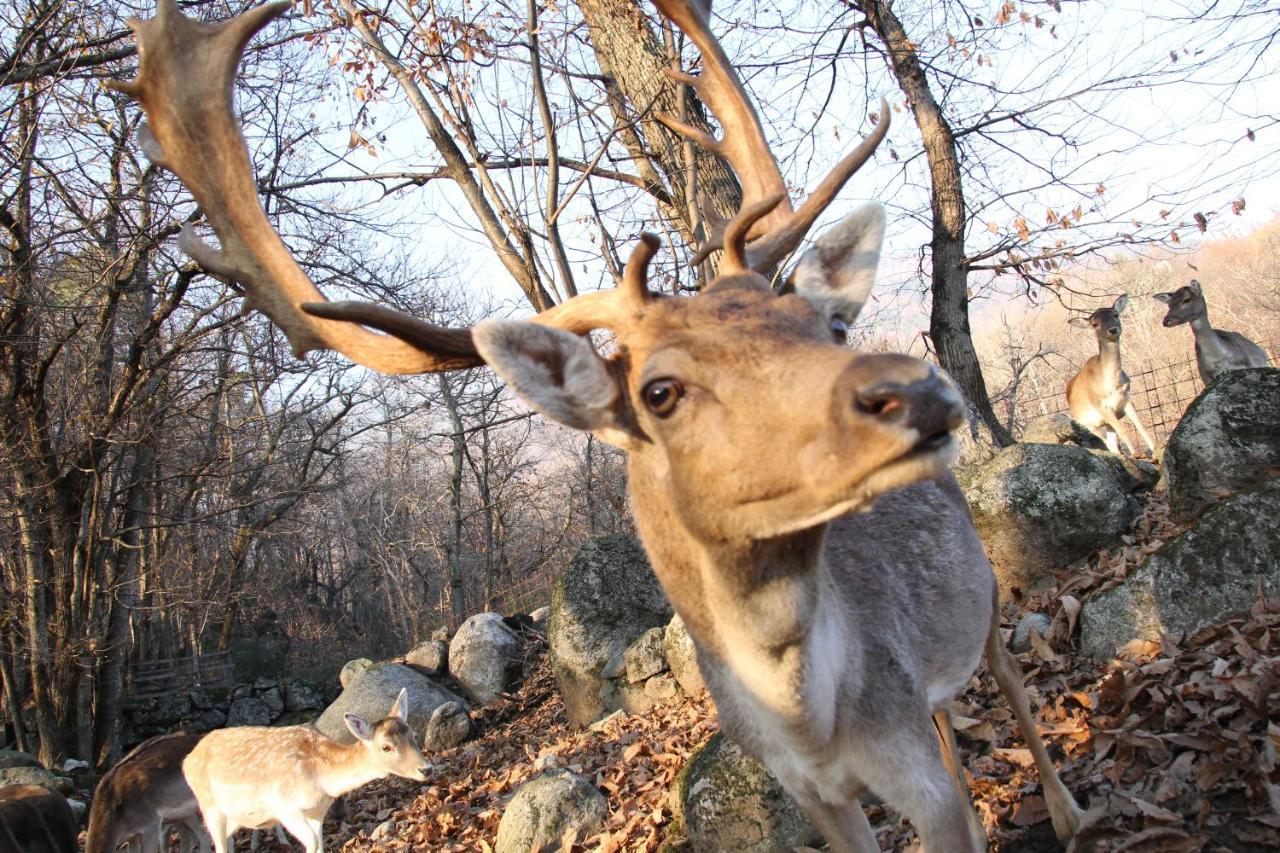 Agriturismo La Pedruscia Civo Buitenkant foto